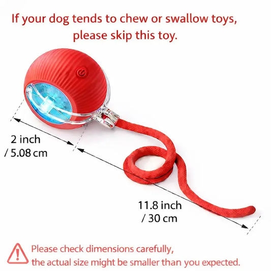 Interactive Cat & Dog Teaser Toy