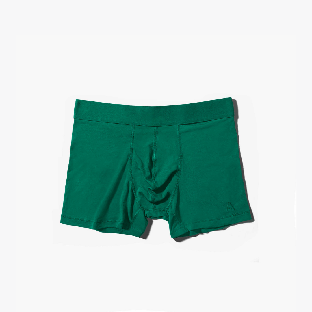 PREMIUM Boxer brief