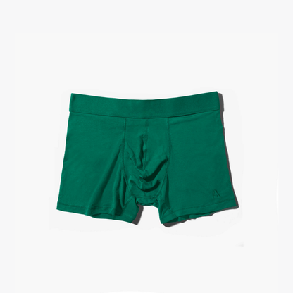 PREMIUM Boxer brief